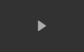 Flashwall Videos